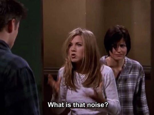 luvmarbear's tweet photo. What in actual heck… it’s 11 pm and I hear the neighbors rooster crowing! He’s on crack or something it’s not morning yet!!! People are trying to sleep here! https://t.co/IDen5HJp8x