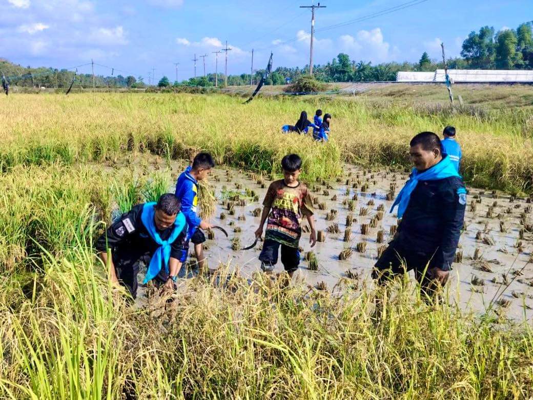 ลงแขกเกี่ยวข้าว ส่งเสริมอาชีพ...วิถีชาวนา!!

พี่ๆทหารพราน ร่วมกับ หน่วยงานราชการ จัดกิจกรรม “สานสัมพันธ์ชาวบางเก่า ร่วมลงแขกเกี่ยวข้าว ส่งเสริมอาชีพเกษตรกรแบบยั่นยืน” เพื่อช่วยเหลือแบ่งเบาภาระชาวนา และเป็นการอนุรักษ์ประเพณี ให้คงอยู่ต่อไป

หน่วย : ฉก.ทพ.44
ณ : จ.ปัตตานี
#ทหาร