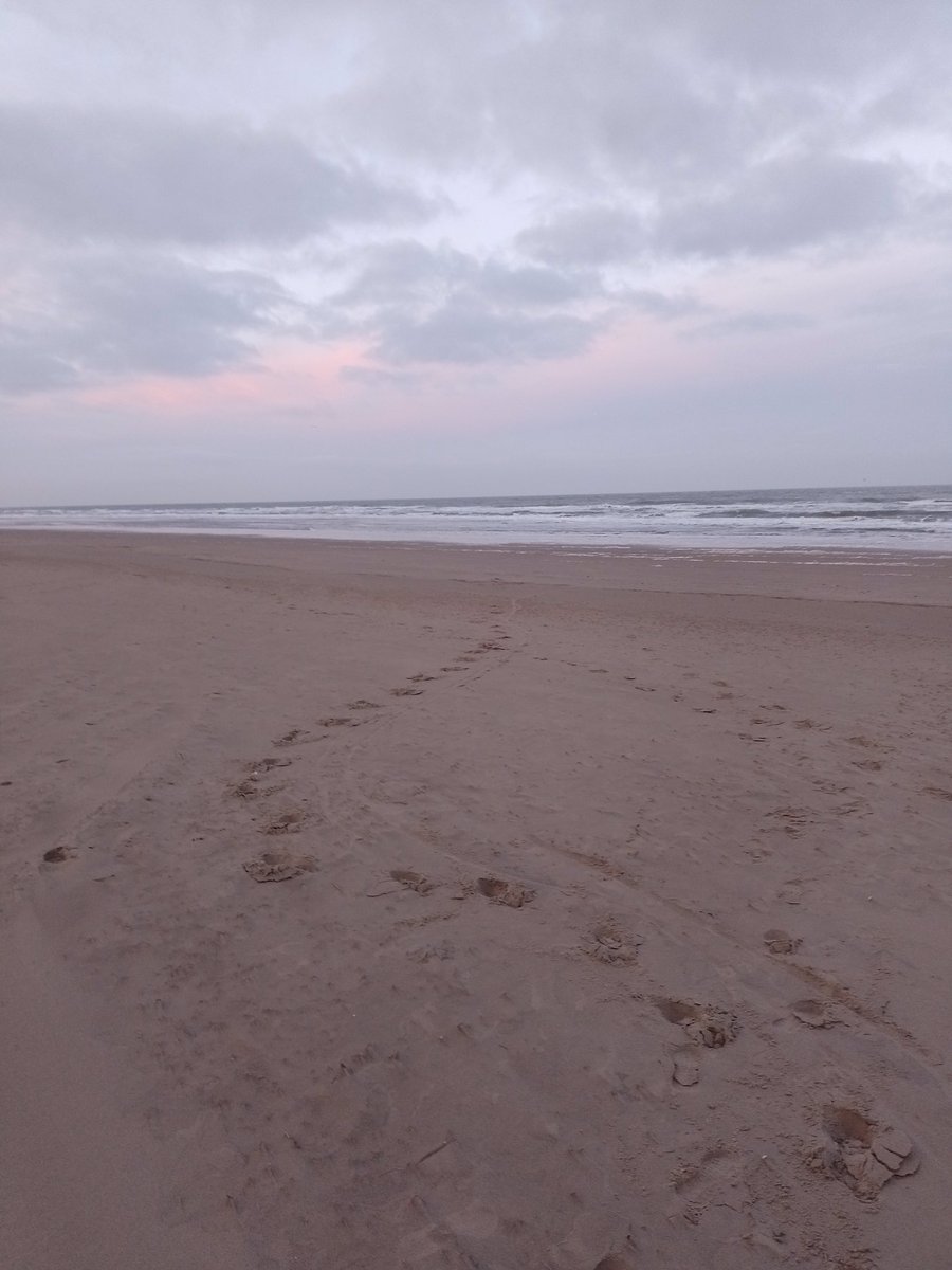 Ook een mooie omgeving om ‘s morgens ‘t hondje uit te laten, nog geen mens te bekennen. Bergen aan zee. ❤️