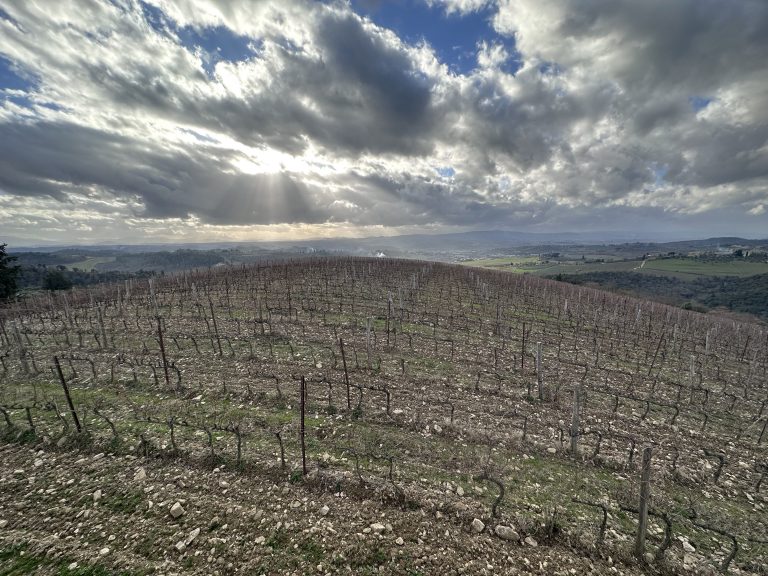 Wines Critic tweet media