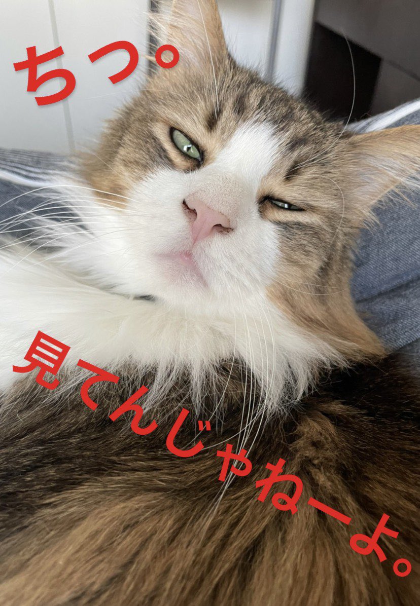 ãããŽð°àŸàœ²éŠéå¥ã£ãœã人 (@reoful) on Twitter photo ããã«ã¡ãâšïž
仿¥ã¯ç«ã®æ¥ð±ãããã§ãïŒ
ããããæè¿ããããã¥ãŒã¹ãèŠãŠããŠ
"äžæœ"ã1çªä»äººããå«ããããšæžããŠãã£ãð«
ããã¯æ¬åœã«ãã!!
ã ããæž
æœæã倧åã«(äœèãšã)
幎霢çã«ãæ°ãã€ããããšæããŸãã
(ãªãã®è©±ïœïœïœ)
çãååŸããã¡ã€ãã§ãð ããã«ã¡ãâšïž
仿¥ã¯ç«ã®æ¥ð±ãããã§ãïŒ
ããããæè¿ããããã¥ãŒã¹ãèŠãŠããŠ
"äžæœ"ã1çªä»äººããå«ããããšæžããŠãã£ãð«
ããã¯æ¬åœã«ãã!!
ã ããæž
æœæã倧åã«(äœèãšã)
幎霢çã«ãæ°ãã€ããããšæããŸãã
(ãªãã®è©±ïœïœïœ)
çãååŸããã¡ã€ãã§ãð