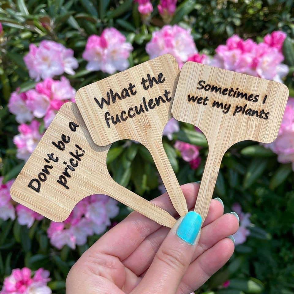 Laser engraved eco friendly bamboo house plant markers are available with a range of phrases 🪴 • £2.50 each plus P&P 📮 littlenscrafts.etsy.com/listing/101205… #EarlyBiz #EtsyUK #EcoFriendly #TheCraftersUK #UKMakers #CraftBizParty