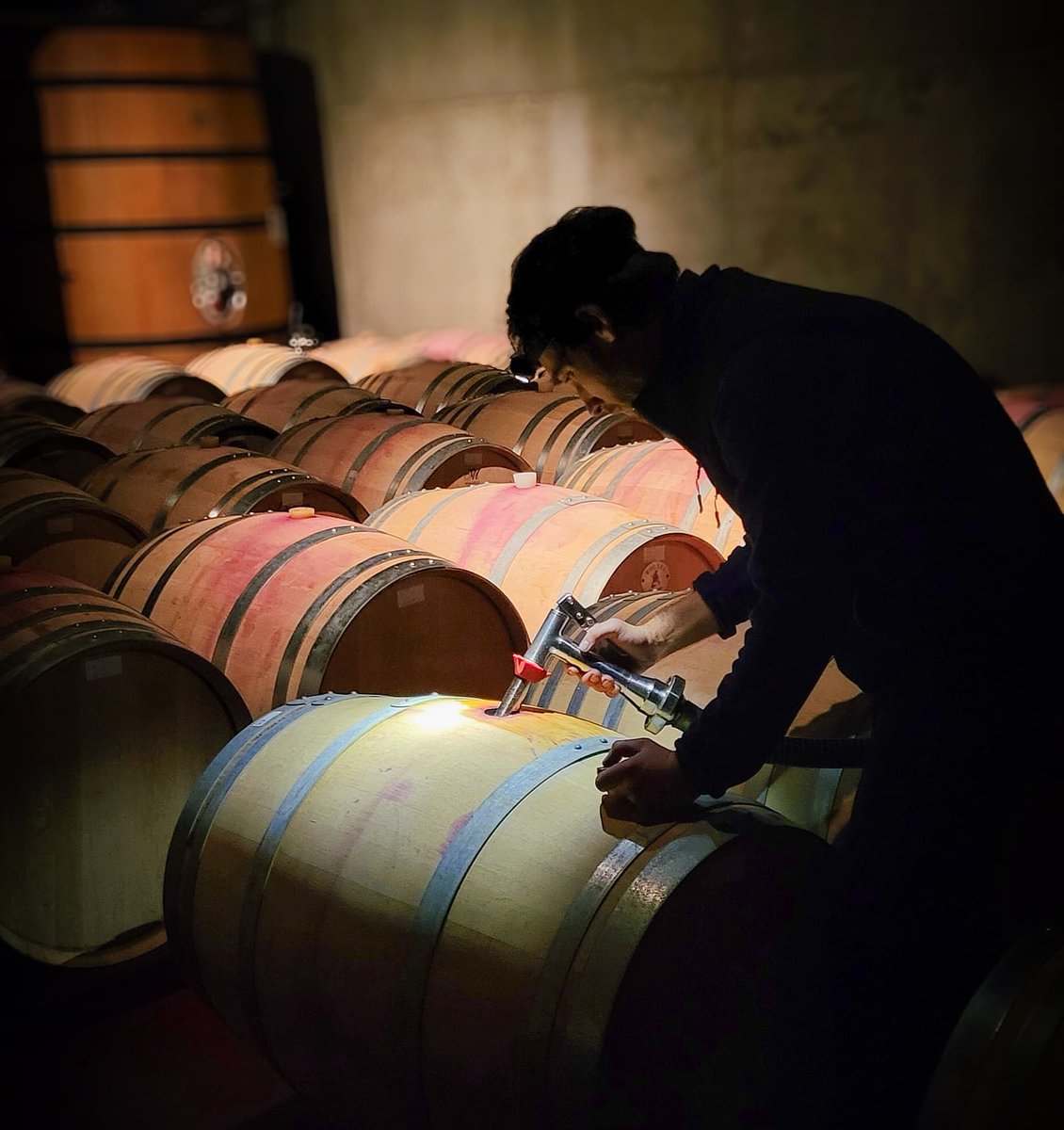 We continue to move barrels in the cellar. At Castell d'Encus, ageing in wood is an important element in our winemaking process. 🏔🍷🏔 📸 by @jordi_pero_enjaume