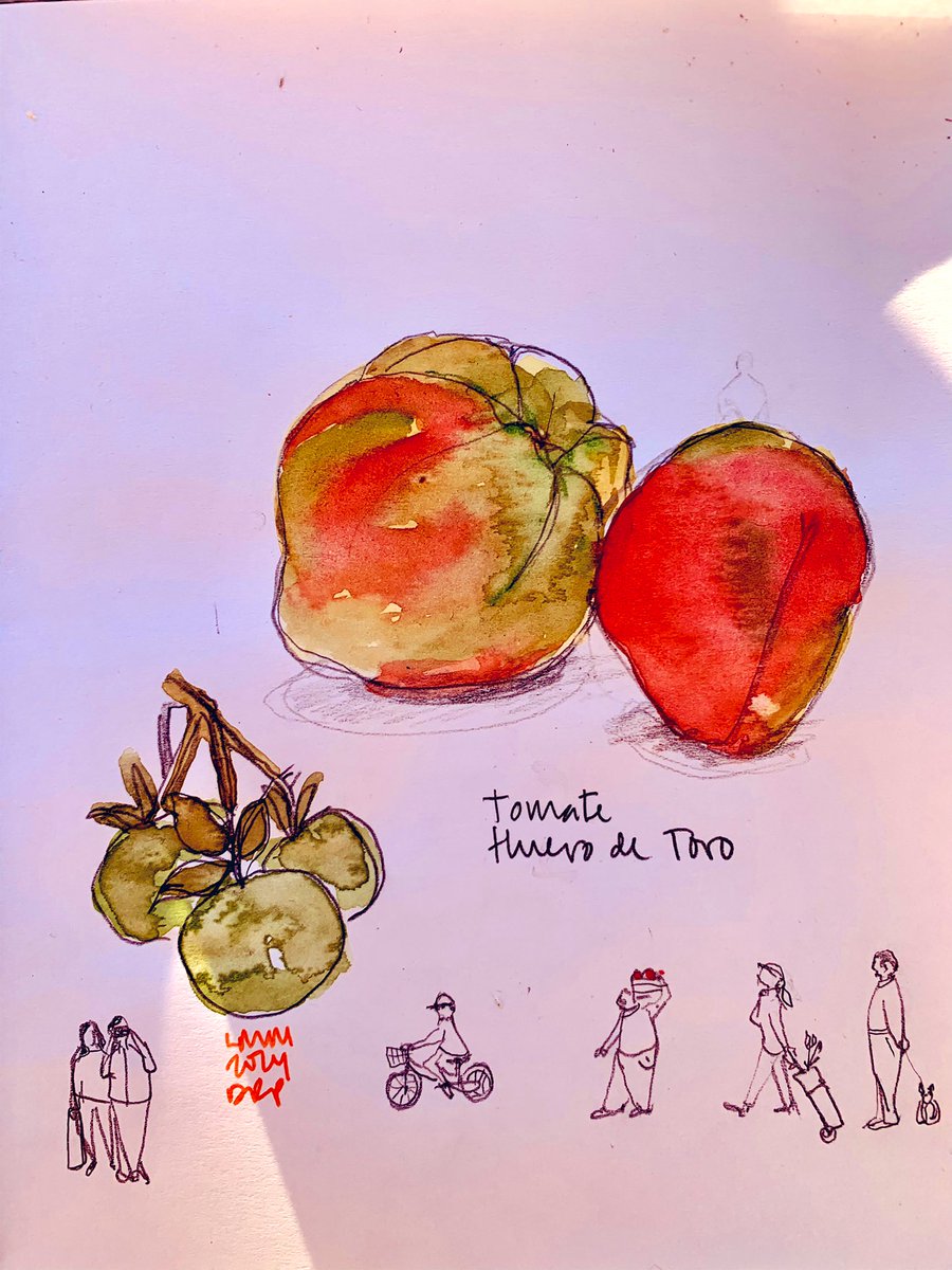 LaMalagaModerna's tweet photo. Tomate “Huevo de Toro”. #CosasDeComer https://t.co/sBBkZHYVTB