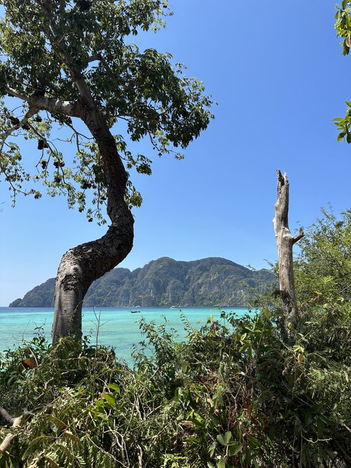 Hello from Koh Phi Phi 🏝️☀️  Follow me here for all the hot stuff ❤️&zwj;🔥  https://t.co/yTGzI8sYEV  https://t