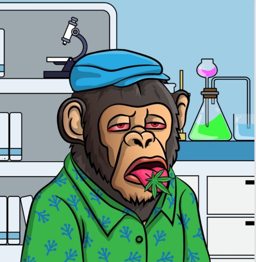 🌄GOOD MORNING CHIMPS 🌄 

Thursday again almost the weekend again whats the plans 🐒

#XRP #nftart #NFTCommunity