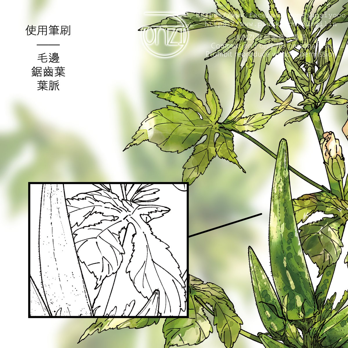 之前在《蒹嘉嚐嚐》一書裡負責植物插圖的部分～需要繪製一系列的嘉義野菜們，量對我來說有點大，所以做了這些方便快速的葉子筆刷！
筆刷們主要用於需要仔細繪製的單株植物，而葉緣筆刷只是線條筆刷，並非已經繪製完整的葉子圖形筆刷喔～
筆刷組：
assets.clip-studio.com/zh-tw/detail?i…
#CSP