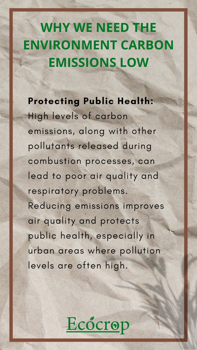 ecocrop's tweet photo. Here's why it's crucial to reduce carbon emissions🌍🍃
We've taken a step to produce 100% low carbon coffee☕ Available in dark, medium and light roast at only ksh. 799 for 250g
Good for you, good for earth🌍

#coffee #carbonemissions #lowcarbon #lowcarboncoffee https://t.co/oJbbo0b2wY