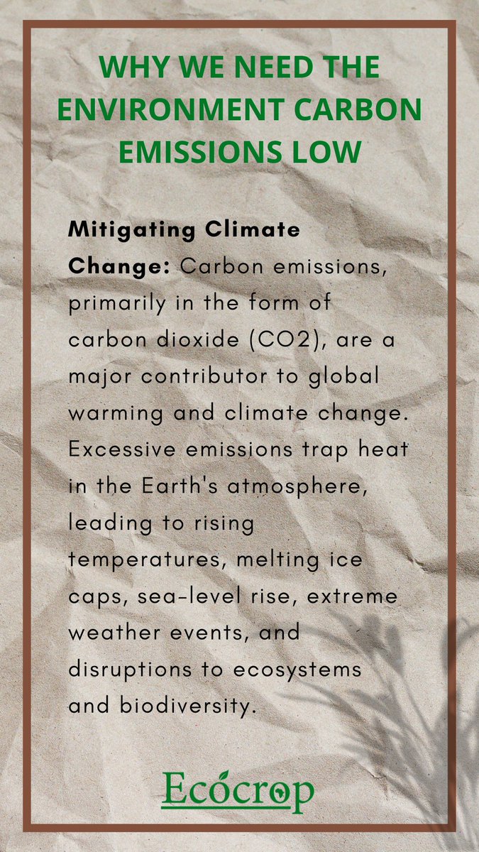 ecocrop's tweet photo. Here's why it's crucial to reduce carbon emissions🌍🍃
We've taken a step to produce 100% low carbon coffee☕ Available in dark, medium and light roast at only ksh. 799 for 250g
Good for you, good for earth🌍

#coffee #carbonemissions #lowcarbon #lowcarboncoffee https://t.co/oJbbo0b2wY