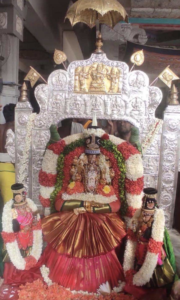 KamakshiTemple's tweet photo. Sri #Kamakshi #Amman #Devasthanam - #Bhadra #Peetha #Vahanam today (22-02-2024, morning) #kamakoti #brahmotsavam https://t.co/VOAJtAKHmQ