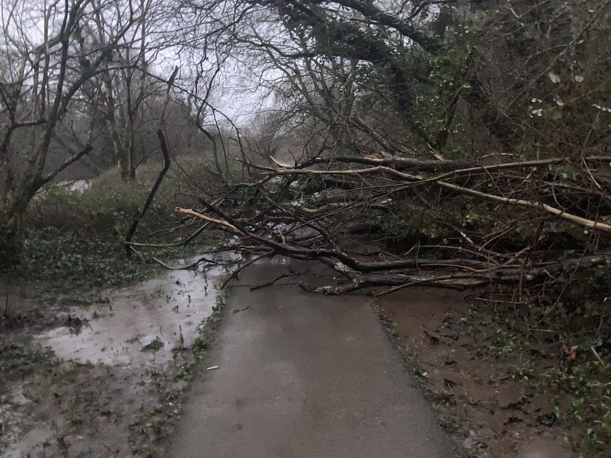garyablet's tweet photo. @cardiffcouncil hi there is a fallen tree blocking access along the Ely Trail. Access from Fairwater, Landwade Close. https://t.co/1q576psZlO