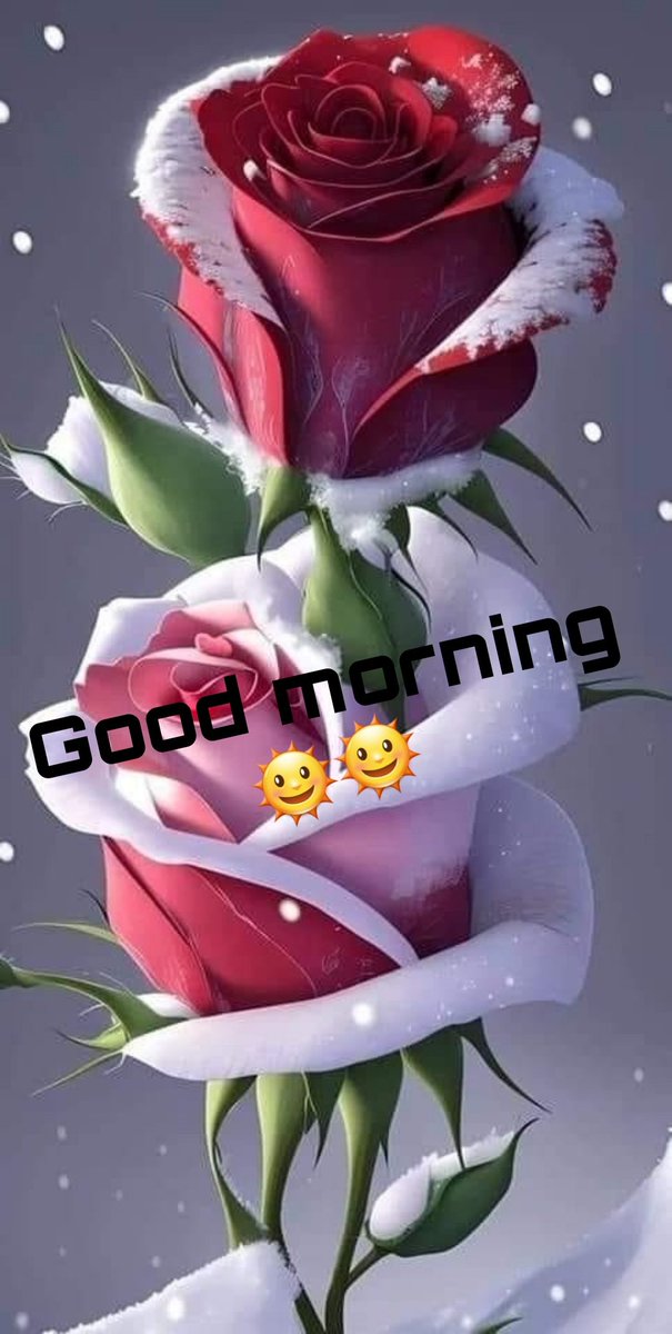 Up and Grateful.
Thank you Lord for a new Day..