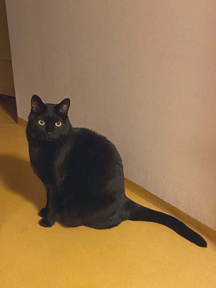 오늘도 멋진 먼지..😎