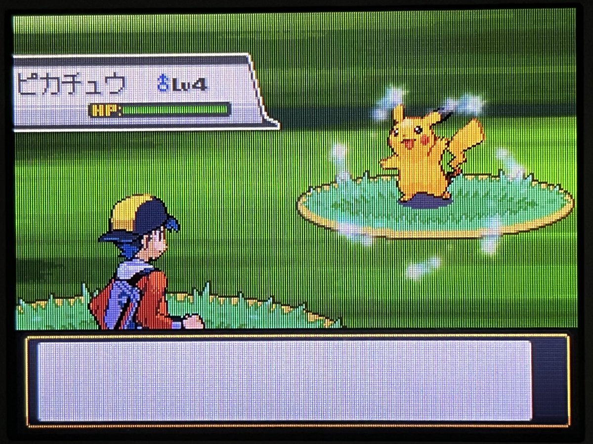 そして、今回の旅の目的のひとつ、色違いピカチュウをガンテツボールで