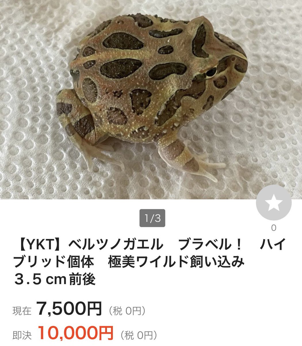 blackpeal7328's tweet photo. ツッコミどころが多すぎてどこから突っ込みましょうか？

無知な場合はこっそり教えたりしますがそろそろ詐欺ぽい内容になってきましたね💦 https://t.co/HRB2Y6LGfL