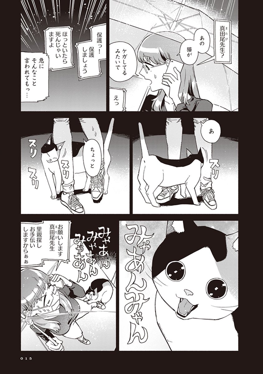 (4/8) 