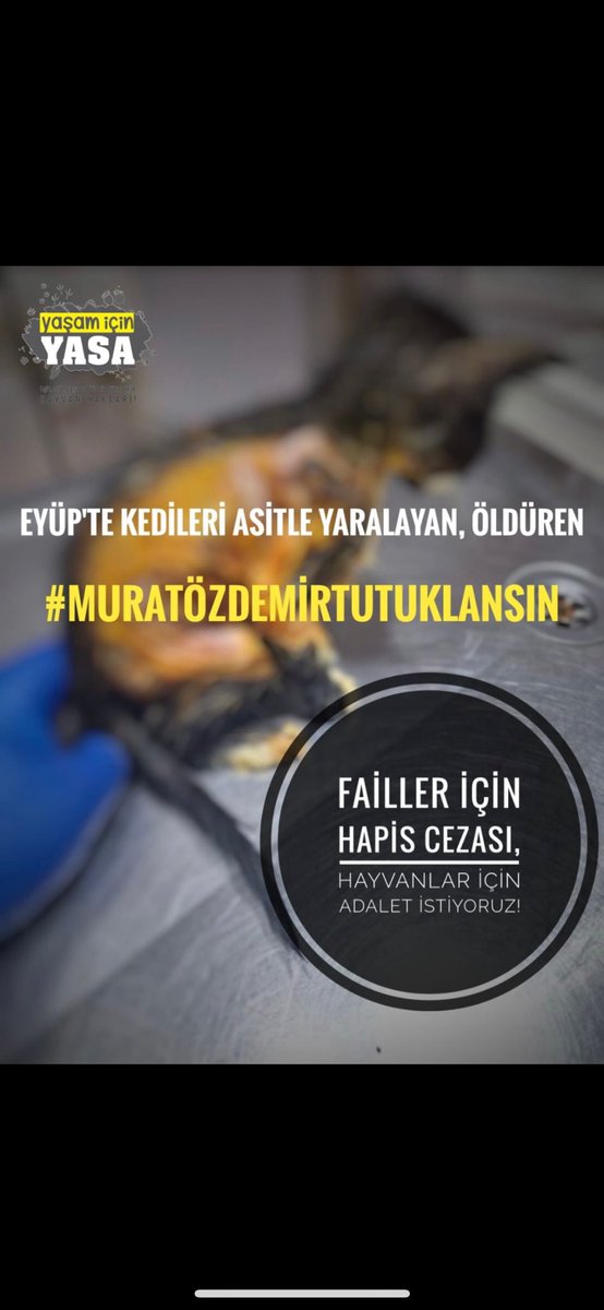 🌸 (@dmlakyuzz) on Twitter photo #muratoezdemirTUTUKLANSIN 
#MURATOEZDEMİRTUTUKLANSIN #muratoezdemirTUTUKLANSIN 
#MURATOEZDEMİRTUTUKLANSIN