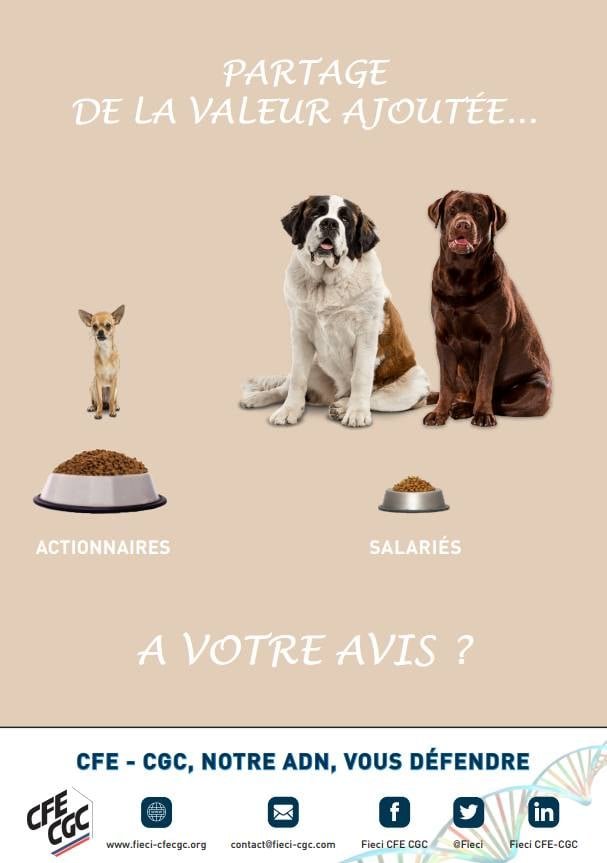FIECI's tweet photo. #Partage de la #valeurajoutée ...

A votre avis ? https://t.co/ieRIkPMwOC