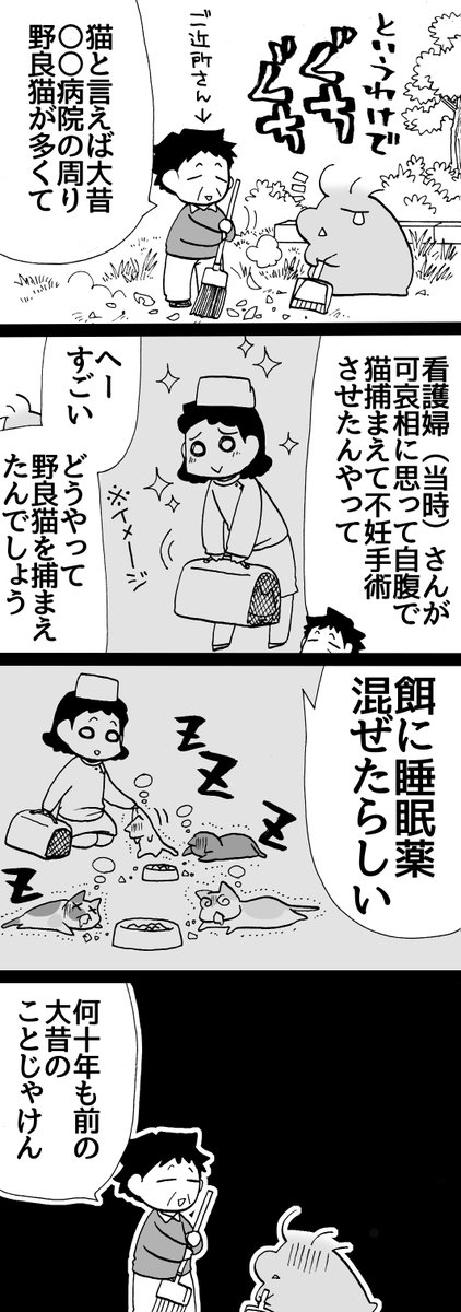 四コマ「祖父んちの隣人が多頭飼育崩壊した話59」

医療関係者ってすごい。
私にはできない。

#猫 #四コマ漫画 #御かぞくさま御いっこう 