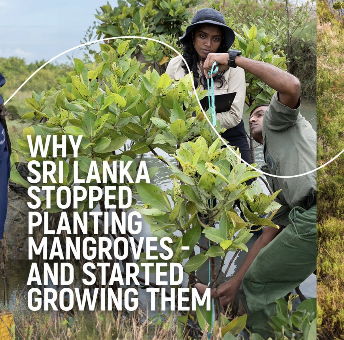 prabath Chandrakeerthi (@prabathchandra4) on Twitter photo 