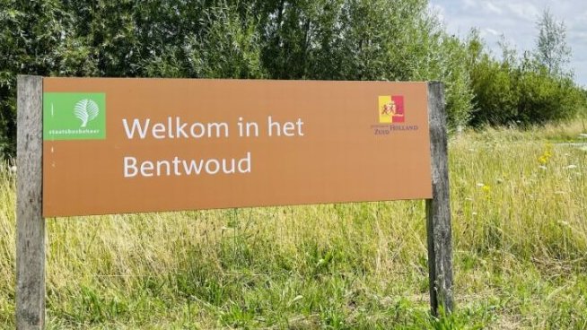 Wil je meedenken over de toekomst van het Bentwoud? Dat kan! Staatsbosbeheer en de provincie Zuid-Holland willen dit jonge bosgebied nog aantrekkelijker maken. Er komen 3 brainstormsessies. Meer weten; zuid-holland.nl/bentwoud