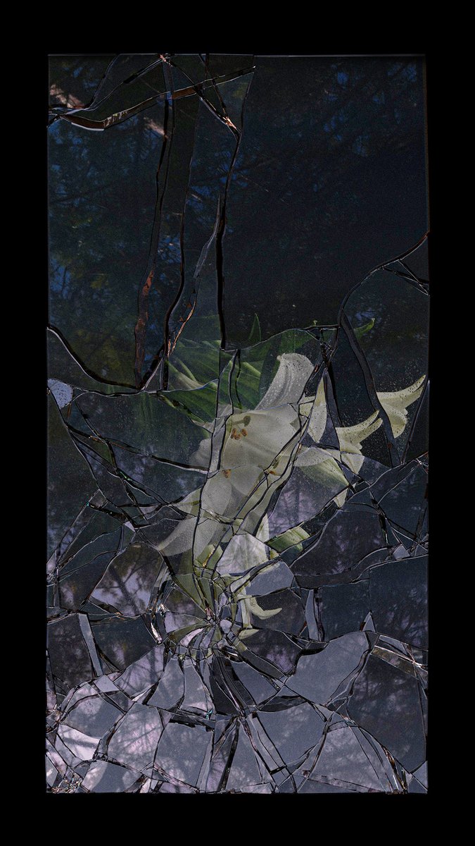 Introducing Anthem #1 &amp; 2

Leonard Cohen’s famous refrain states:
‘There is crack in everything… thats how the light gets in’

Using a broken mirror as motif, these pieces show that the fractured and incomplete can reveal realities that the whole and pristine cannot.

Link 👇