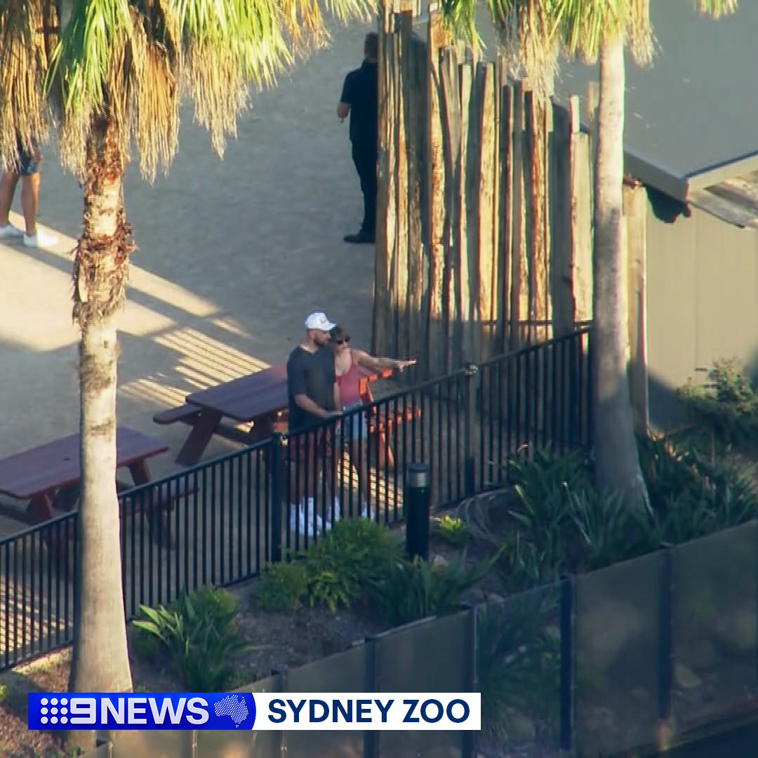 9News Sydney (@9newssyd) on Twitter photo Taylor Swift is back at Sydney Zoo - this time arm in arm with boyfriend Travis Kelce.
Fresh off a Super Bowl victory, Kelce arrived down under on a private jet earlier today ahead of the Eras Tour at Accor Stadium this weekend. #9News
MORE ➡️ nine.social/zew Taylor Swift is back at Sydney Zoo - this time arm in arm with boyfriend Travis Kelce.
Fresh off a Super Bowl victory, Kelce arrived down under on a private jet earlier today ahead of the Eras Tour at Accor Stadium this weekend. #9News
MORE ➡️ nine.social/zew