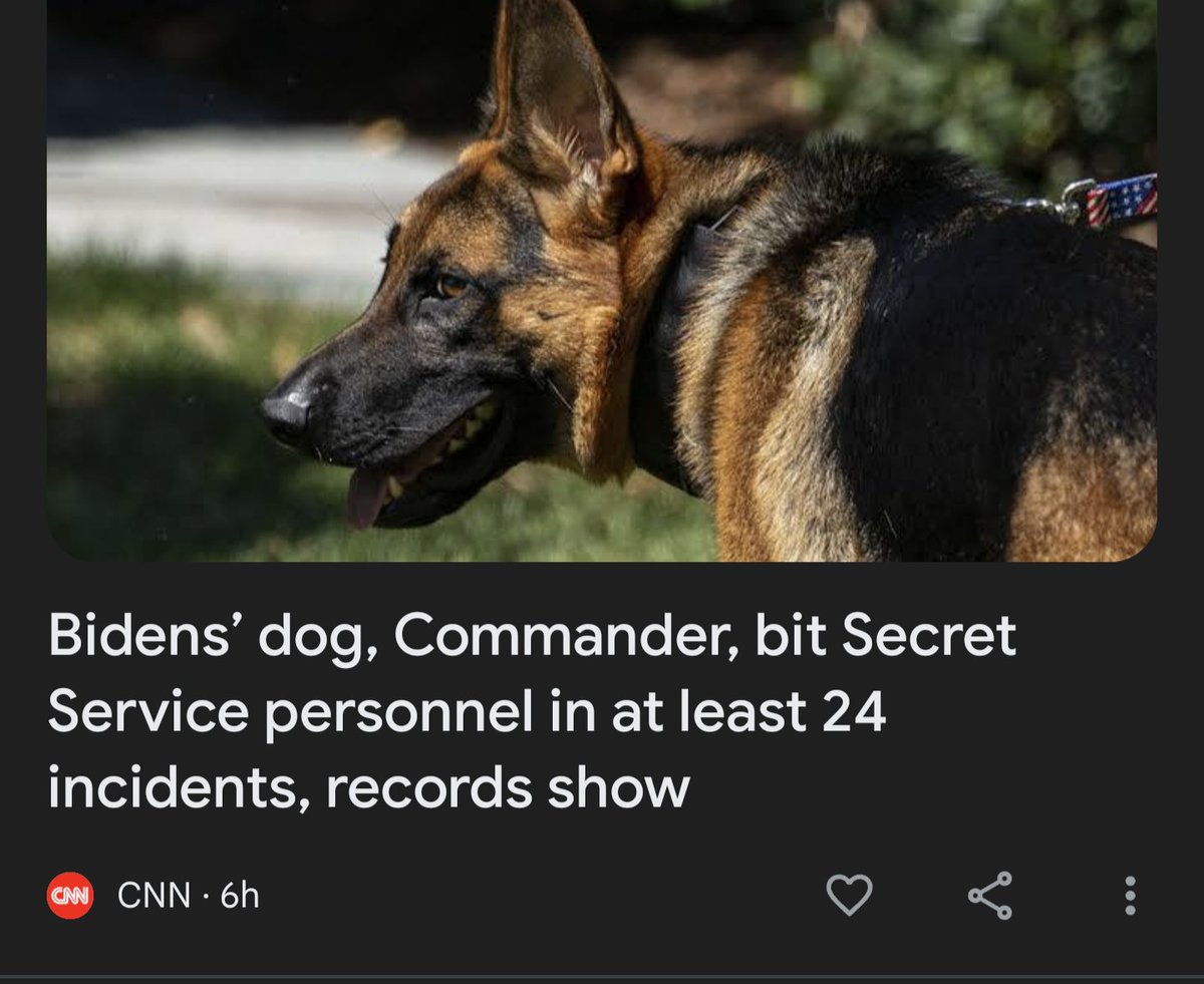 seriousfun8309's tweet image. The SS is corrupt, in on the Russian influence racket, and I don't trust them around Biden and Harris. #TeamCommander