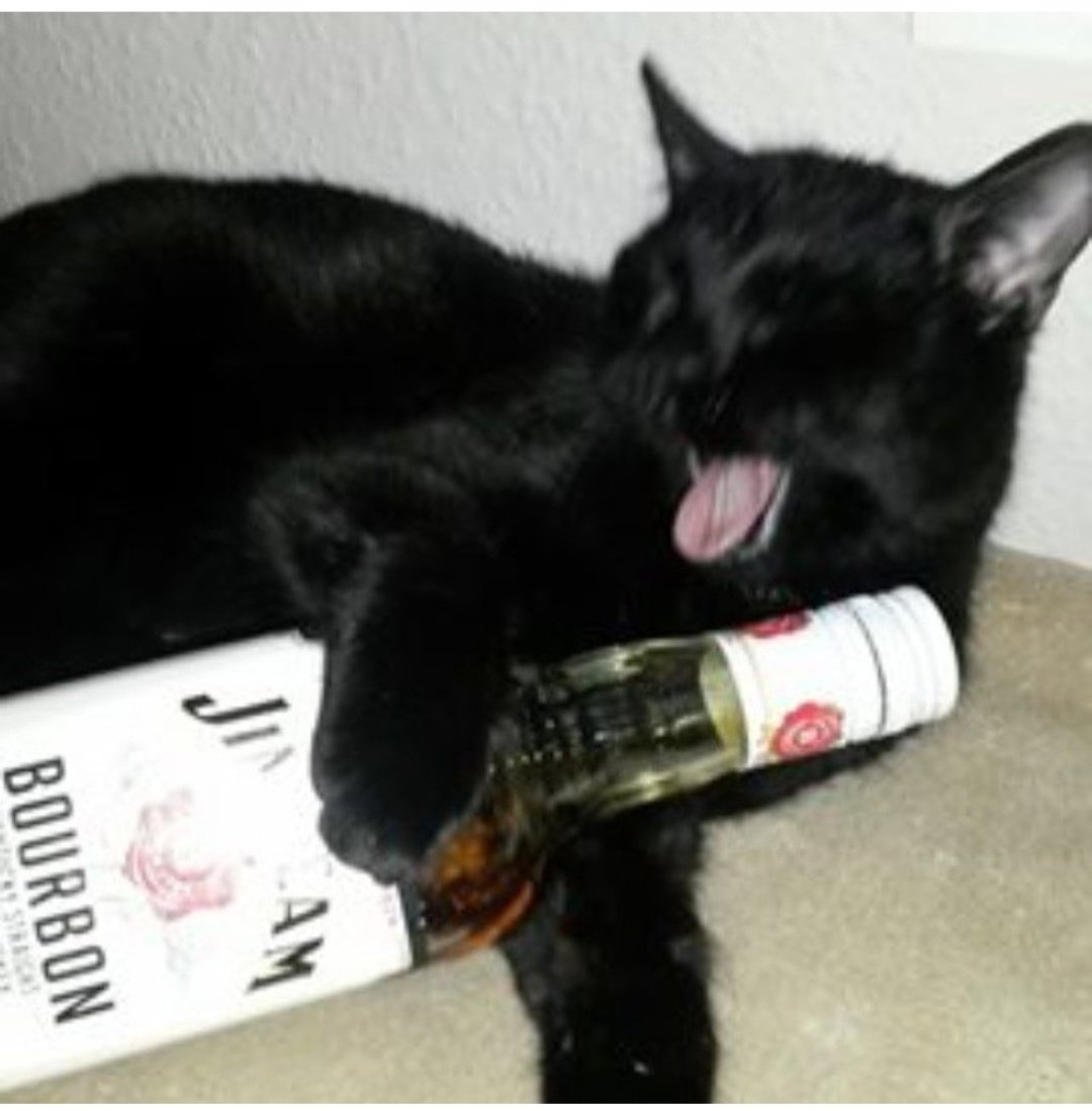 Angelika tweet media