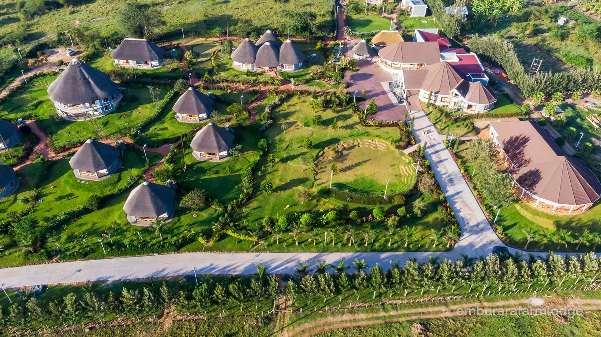 specialtha58233's tweet photo. Experience the genuine warmth of Western Uganda's people. The hospitality here is as inviting as the landscapes. From local markets to rural villages, every interaction feels like a heartfelt welcome. ❤️🤗  #UgandaWarmth #FriendlyFaces #visituganda https://t.co/45noCeuE3o