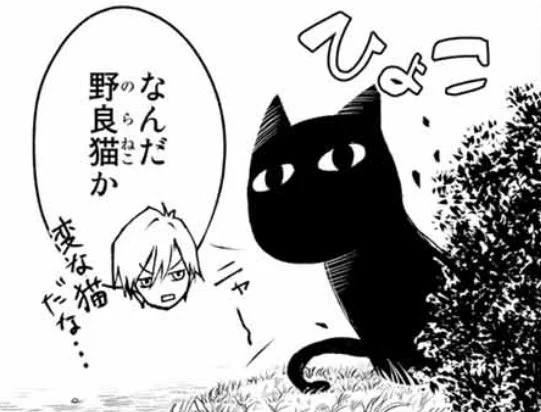 やっぱり甘神さんちの縁結びの猫といったらこれか。 