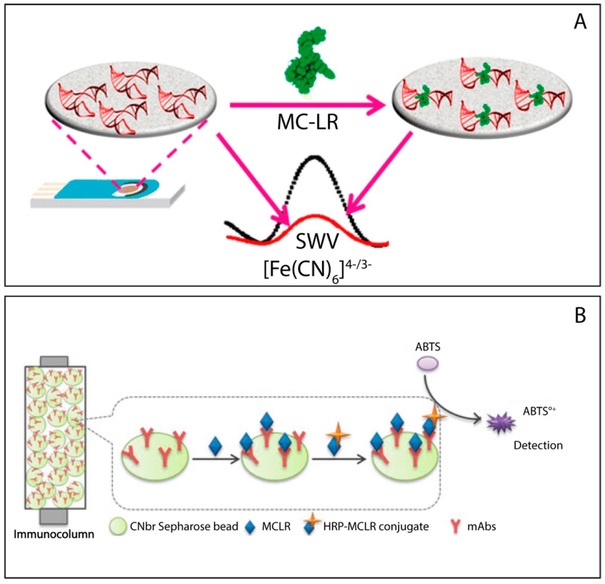 Biosensors_MDPI's tweet image. #Reivew
Electrochemical Biosensors for Tracing Cyanotoxins in Food and Environmental Matrices by Antonella Miglione, et al.
doi.org/10.3390/bios11…

@MDPIOpenAccess @ChemMatSci_MDPI @UninaIT
#electroanalysis #screenprintedelectrodes #voltammetry #impedance #openaccess