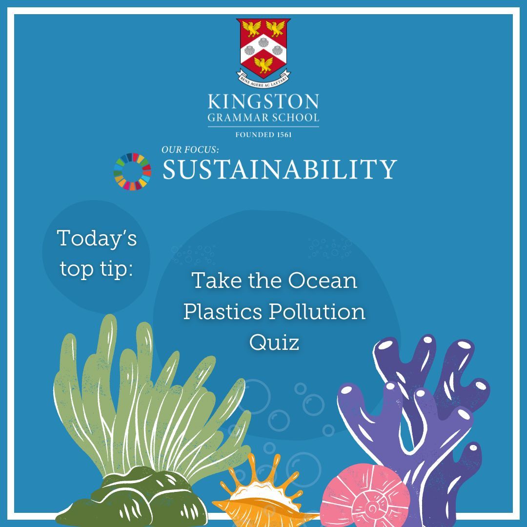 The Kindness Council tweet media