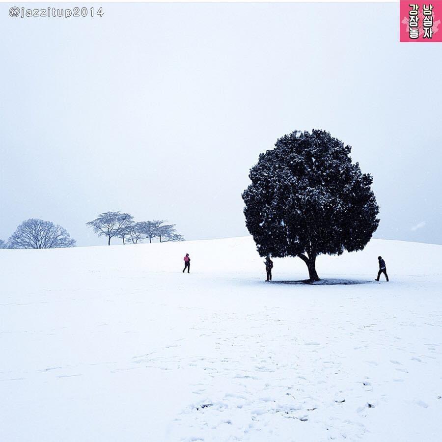 วันนี้เกาหลีหิมะตกฉ่ำๆเลย ที่นี่ก็คือน่าไปมาก 
“Alone Tree” อยู่ที่ ‘Olympic Park’ สวยแรงมากกกกก ไปแต่ละช่วงก็จะได้คนละฟีล ปักหมุดไว้เลย 

การเดินทาง
รถไฟใต้ดินสถานี Olympic Park ทางออก 1 หรือถ้าใครจะพุ่งตัวไปที่ Alone Tree เลยให้ลงที่สถานี Mongchon-toseong ทางออก 1

#รีวิวเกาหลี