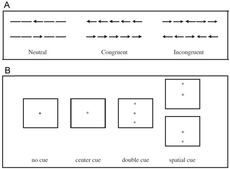 JIntell_MDPI's tweet photo. Data from 36 studies using the various #AttentionNetwork Tests was used to generate graphical illustrations of how the efficacy of alerting, orienting and #ExecutiveControl change across the lifespan
Fresh paper by Raymond M. Klein et al. from @DalhousieU
https://t.co/dqp840LdsX https://t.co/5a41FqLg40