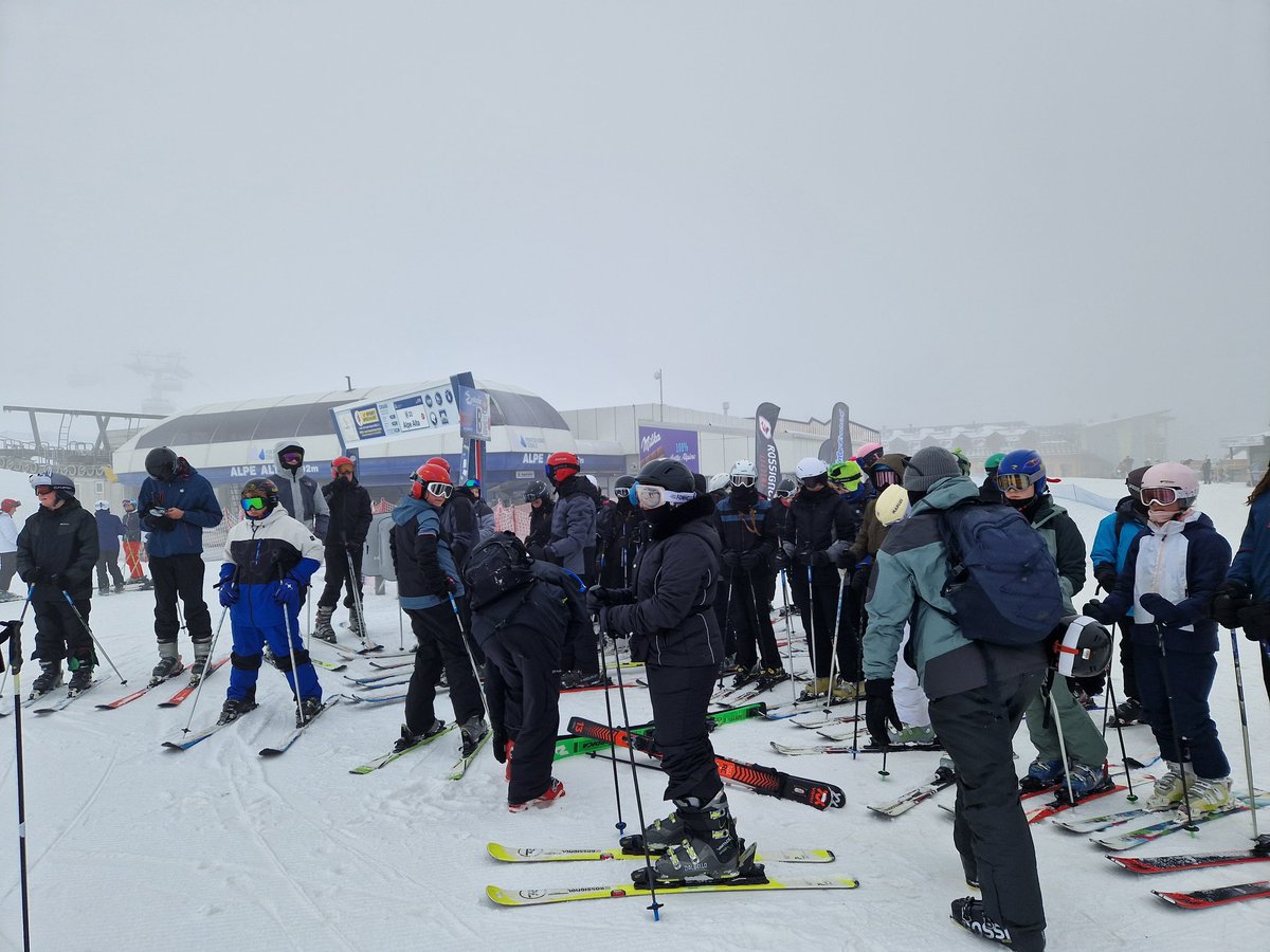 MrFitten tweet media