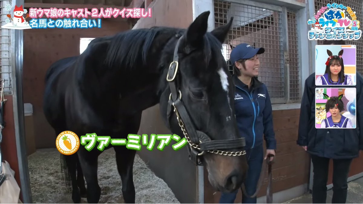 ヴァーミリアン
ジャパンカップダート フェブラリーS
川崎記念 2勝 JBCクラシック 3勝
東京大賞典 帝王賞
彩の国浦和記念 ダイオライト記念
名古屋グランプリ ラジオたんぱ杯2歳S