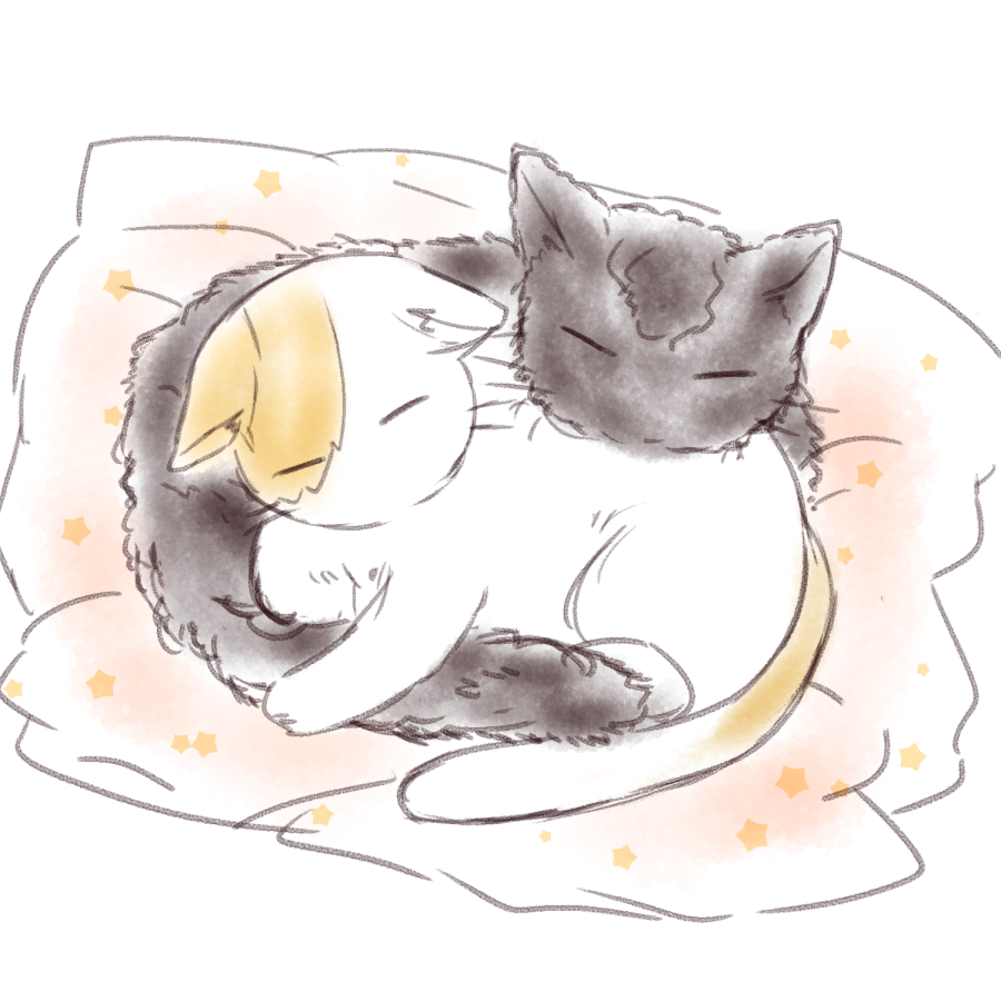 ねこの日なのでらくがきねこT2さん🐈‍⬛🐈
2枚目はちょっと昔に描いたやつの再掲です　もふもふ🐈