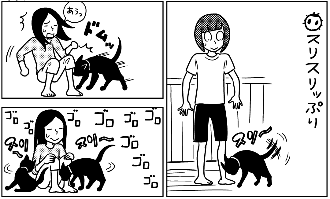 猫の日3
「ソダテコ」「ニャントコ」 