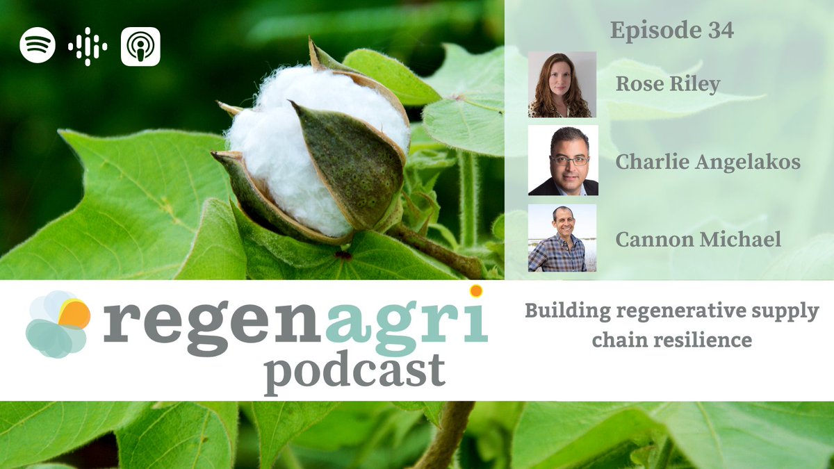 regenagri (@regenagri_org) on Twitter photo February’s must-listen #regenagri #podcast episode features <a href="/c_angelakos/">Charlie Angelakos</a> <a href="/mccainglobal/">McCain Foods Global</a> & <a href="/agleader/">Cannon Michael</a> <a href="/BowlesFarming/">Bowles Farming Co</a>. Hear the pair discuss how #regenerative practices are crucial for the #sustainable longevity of global #food & #textile systems 👉 spotifyanchor-web.app.link/e/fMoYFFNzoHb February’s must-listen #regenagri #podcast episode features <a href="/c_angelakos/">Charlie Angelakos</a> <a href="/mccainglobal/">McCain Foods Global</a> & <a href="/agleader/">Cannon Michael</a> <a href="/BowlesFarming/">Bowles Farming Co</a>. Hear the pair discuss how #regenerative practices are crucial for the #sustainable longevity of global #food & #textile systems 👉 spotifyanchor-web.app.link/e/fMoYFFNzoHb