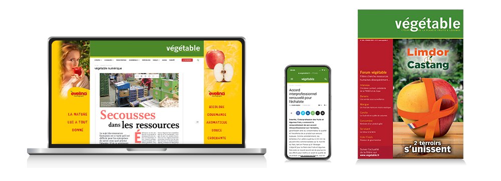 Je m'abonne à végétable en version mixte
vegetable.fr/produit/je-mab…