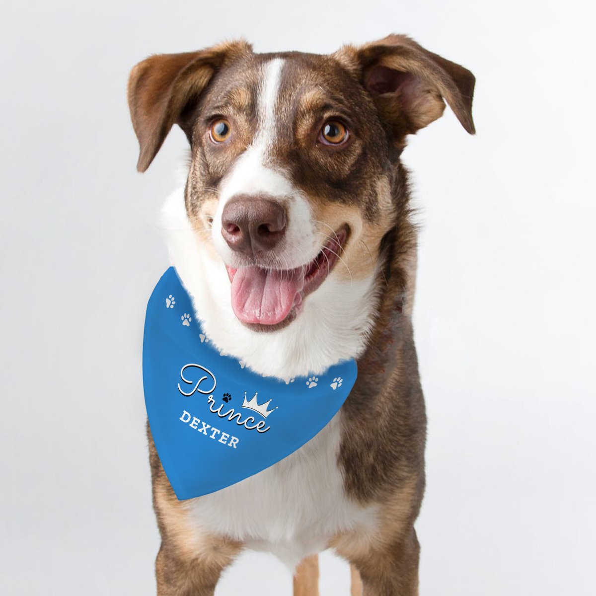 fthgiftsuk's tweet photo. Step up your pup's style on national #WalkingTheDogDay with personalised dog accessories. 🐶

From personalised bandanas to dog lead hooks, we’ve got it all.

https://t.co/6M4Oy8hunl  

#WalkingTheDog #DogGifts #DogAccessories #DogAccessory https://t.co/j9pL8UutcM