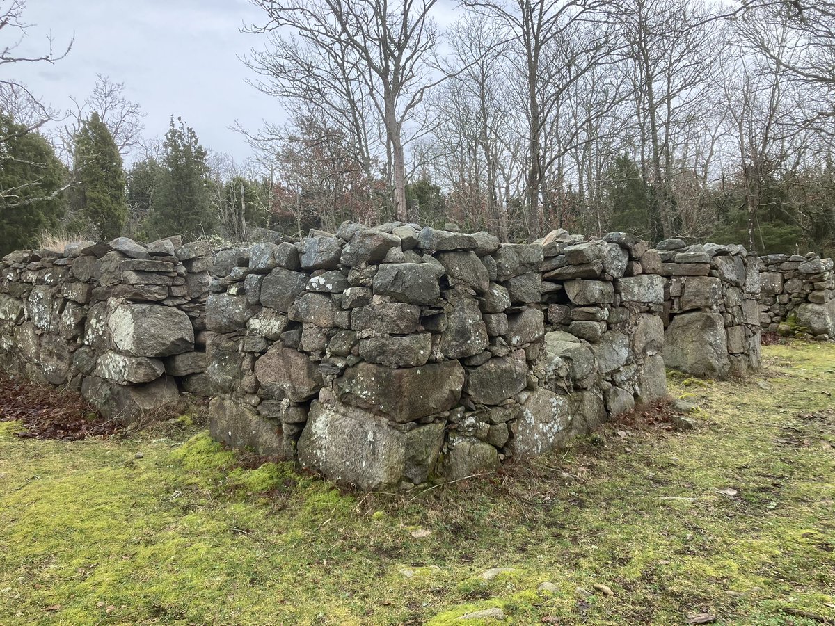 Håkan Lindberg tweet media