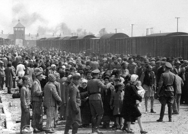 CasseJrmie1's tweet photo. @Portes_Thomas La honte oui, le RN c'est les idées de l'antisémite Pétain qui à serré la🤝 au nazis qui ont créé les camps de concentration et qui des millions de personnes parce que juifs et résistants, les bourgeois comme @EmmanuelMacron aime mieux les idées racistes Lepen #pjlimmigration 👉 https://t.co/XaNMkVOacu