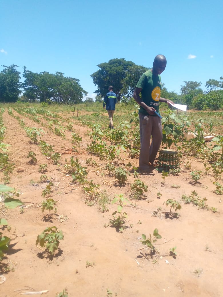 KvunoHubs's tweet photo. Join us in creating "digital handshakes" to foster fruitful transactions between farmers and businesses! 💡🌾 #VunoSekls #DigitalEmpowerment #AgTech #Phygital https://t.co/yNH94sTlRP