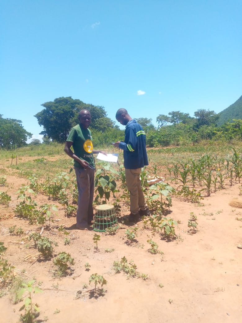 Join us in creating "digital handshakes" to foster fruitful transactions between farmers and businesses! 💡🌾 #VunoSekls #DigitalEmpowerment #AgTech #Phygital