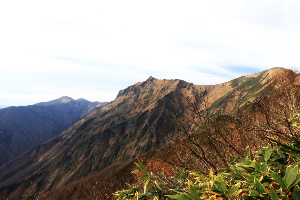 SamuraiMovieCr1's tweet photo. View of Japanese mountains.
#nature #mountai #forest #hiking #NatureBeauty #japanese #scenery #Landscapes #landscapephotography https://t.co/x1hdu4PWib