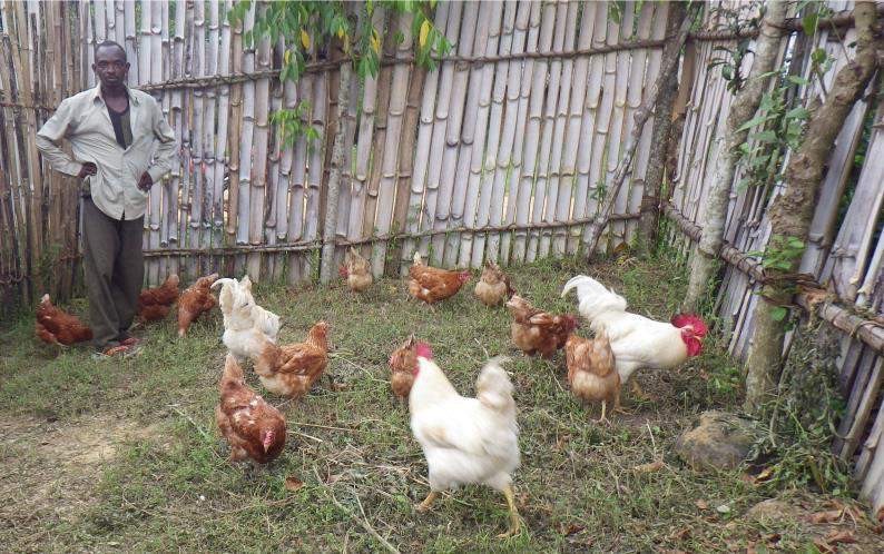 Establishment of a communal chicken coop to improve food security for African families 🐣🐔
Find in this article advice on setting up a chicken coop, on making feed and its distribution, and on animal hygiene and health.👇
 3perf.fr/r/34t