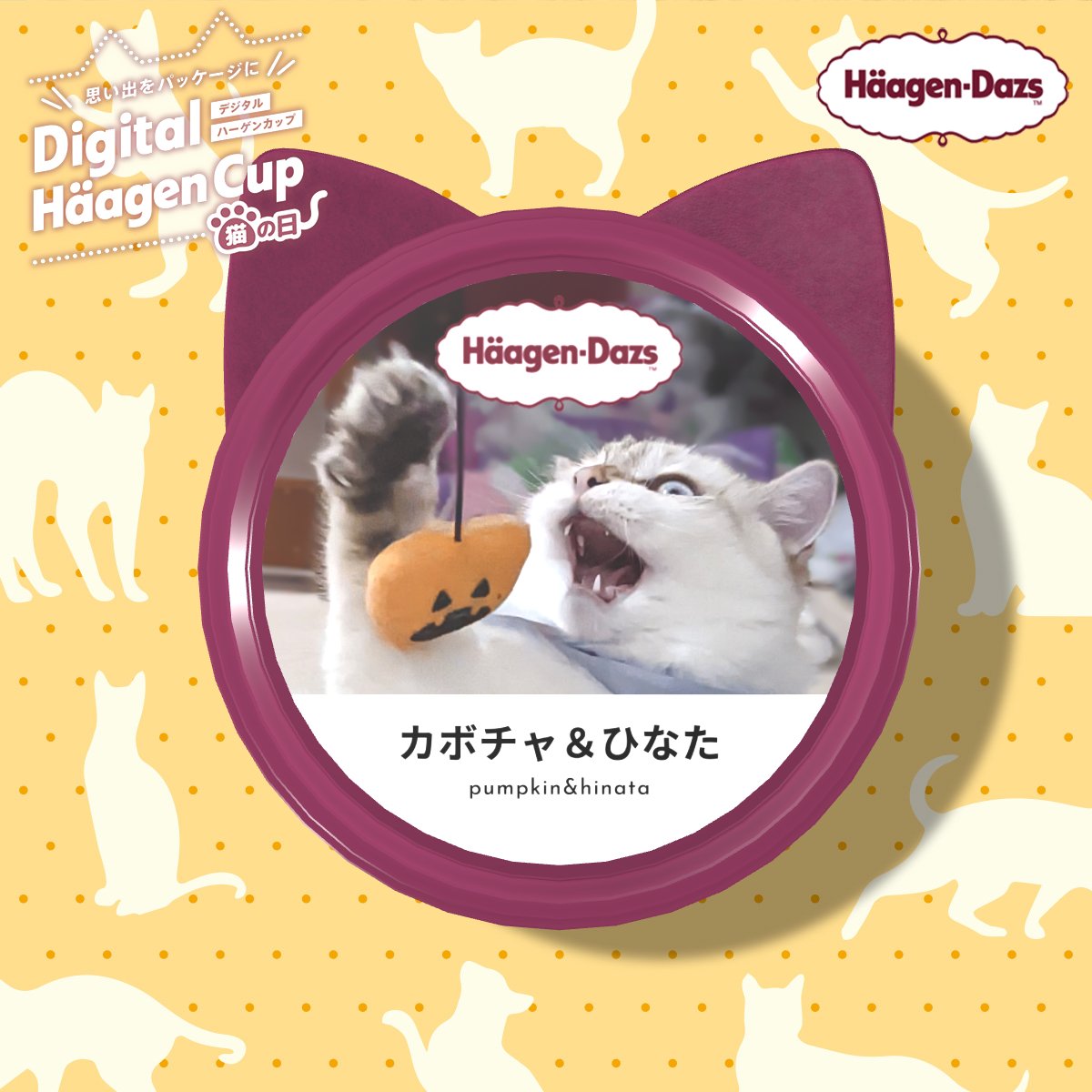 bastet_camera's tweet photo. もちろん、ひなた分も作りました！

#ハーゲンニャッツ https://t.co/0PwN00eP9F