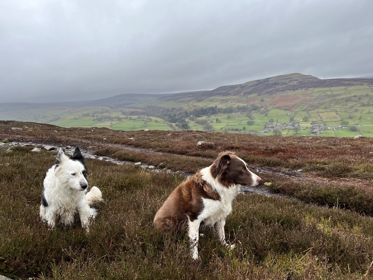 Mark Forrest tweet media